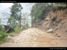 Dangerous Roads of Sikkim