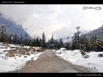Nice Roads of Sikkim