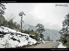 Nice Roads of Sikkim